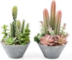 Faux Succulent & Cactus Set - Hình 10