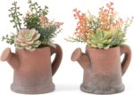 Faux Succulent & Cactus Set - Hình 11