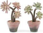 Faux Succulent & Cactus Set - Hình 12
