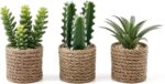 Faux Succulent & Cactus Set