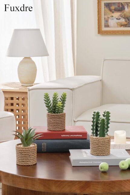 Faux Succulent & Cactus Set - Hình 2