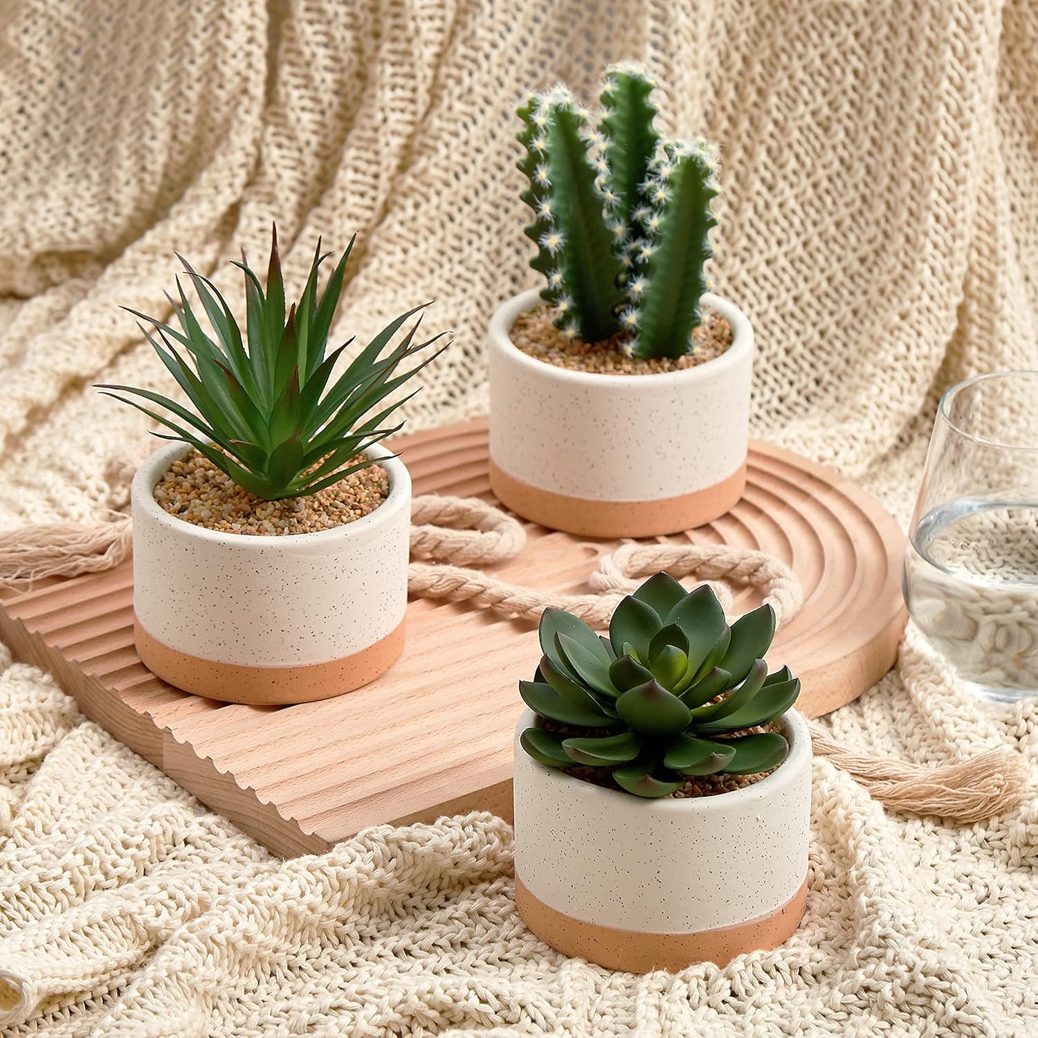 Mini Artificial Succulent & Cactus Trio - Hình 2