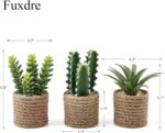 Faux Succulent & Cactus Set - Hình 3
