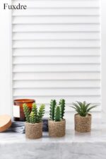 Faux Succulent & Cactus Set - Hình 4