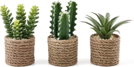 Faux Succulent & Cactus Set