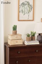 Faux Succulent & Cactus Set - Hình 5