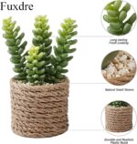 Faux Succulent & Cactus Set - Hình 6
