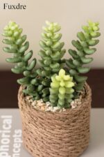 Faux Succulent & Cactus Set - Hình 7
