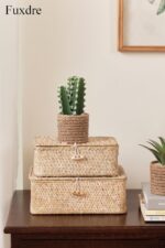 Faux Succulent & Cactus Set - Hình 8