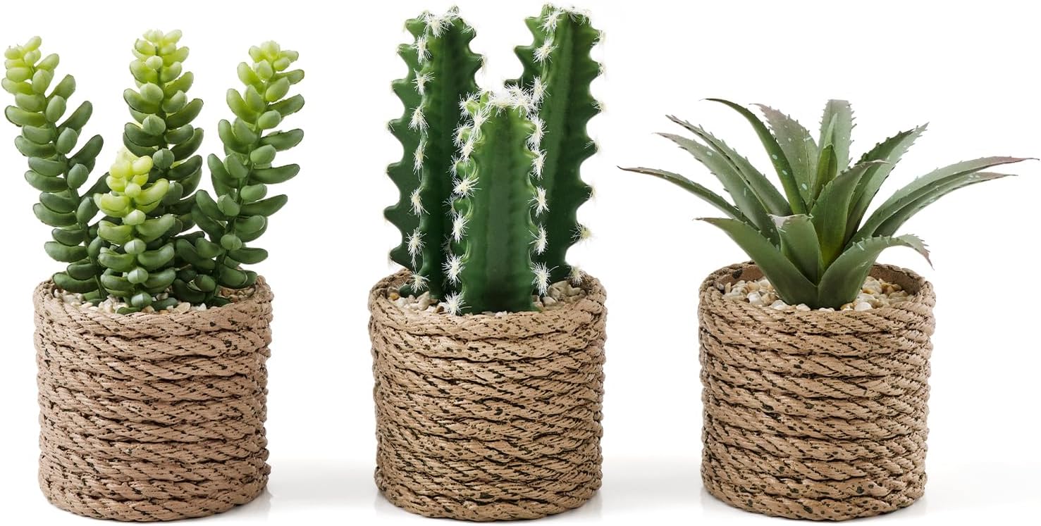 Artificial Succulent Plants Faux Succulent & Cactus Set