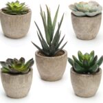 Faux Succulents in Concrete Pots
