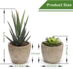 Faux Succulents in Concrete Pots - Hình 3
