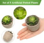 Faux Succulents in Concrete Pots - Hình 4