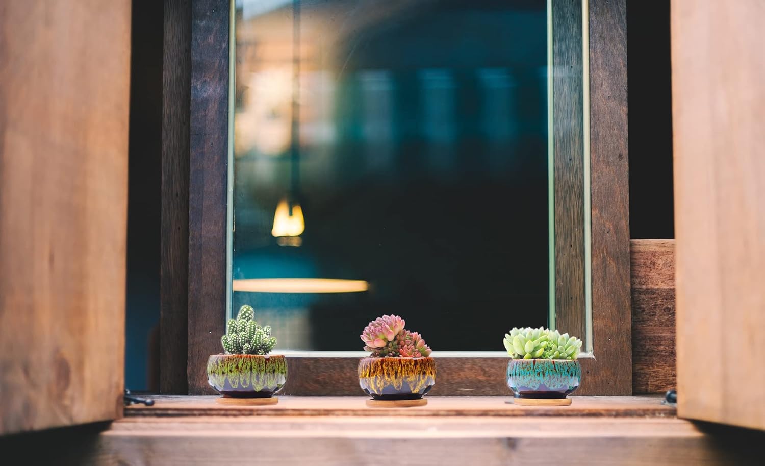 Assorted Faux Succulents - Hình 2