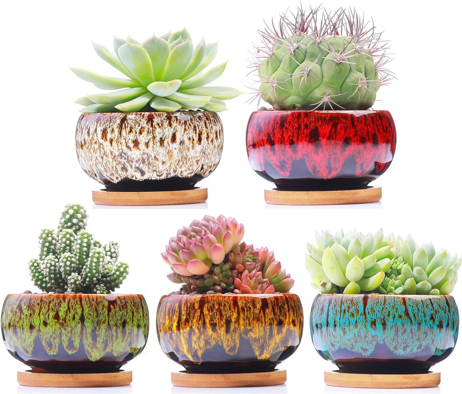 Assorted Faux Succulents