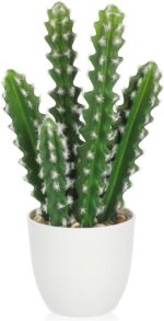 Lifelike Faux Cactus Plant - Hình 11