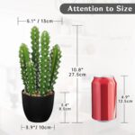 Lifelike Faux Cactus Plant - Hình 3