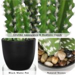 Lifelike Faux Cactus Plant - Hình 4