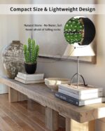 Lifelike Faux Cactus Plant - Hình 5
