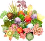 Vibrant Artificial Succulent Picks