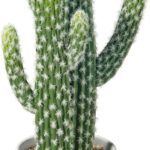 Tall Faux Cactus in Modern White Ceramic Pot