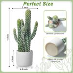 Tall Faux Cactus in Modern White Ceramic Pot - Hình 3