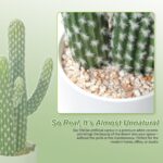 Tall Faux Cactus in Modern White Ceramic Pot - Hình 5