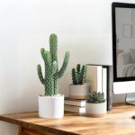 Tall Faux Cactus in Modern White Ceramic Pot - Hình 7