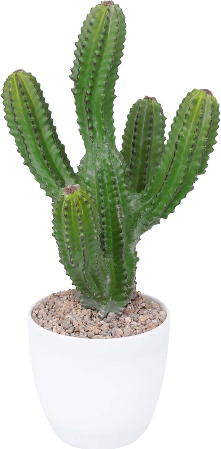 Realistic Artificial Cactus Plant