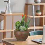 Faux Cactus & Succulent Arrangement - Hình 4