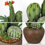 Faux Cactus & Succulent Arrangement - Hình 6