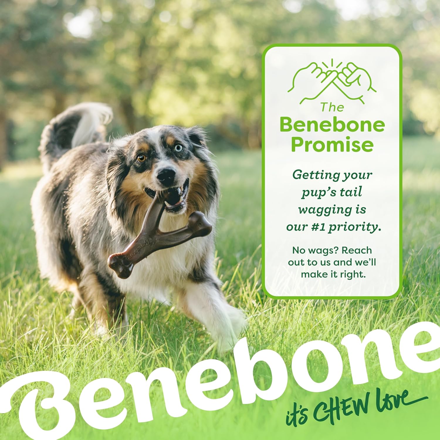 Benebone Wishbone Durable Dog Chew Toy for Aggressive Chewers, Real Bacon, Made in USA, Medium | Durable, Super Chewer, Made