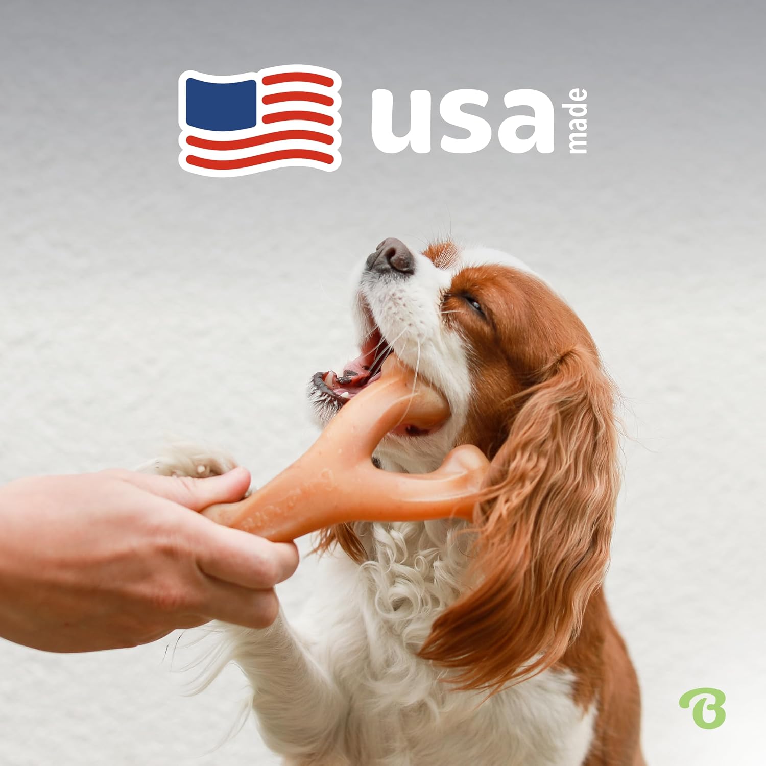Benebone Wishbone Durable Dog Chew Toy for Aggressive Chewers, Real Bacon, Made in USA, Medium | Durable, Super Chewer, Made