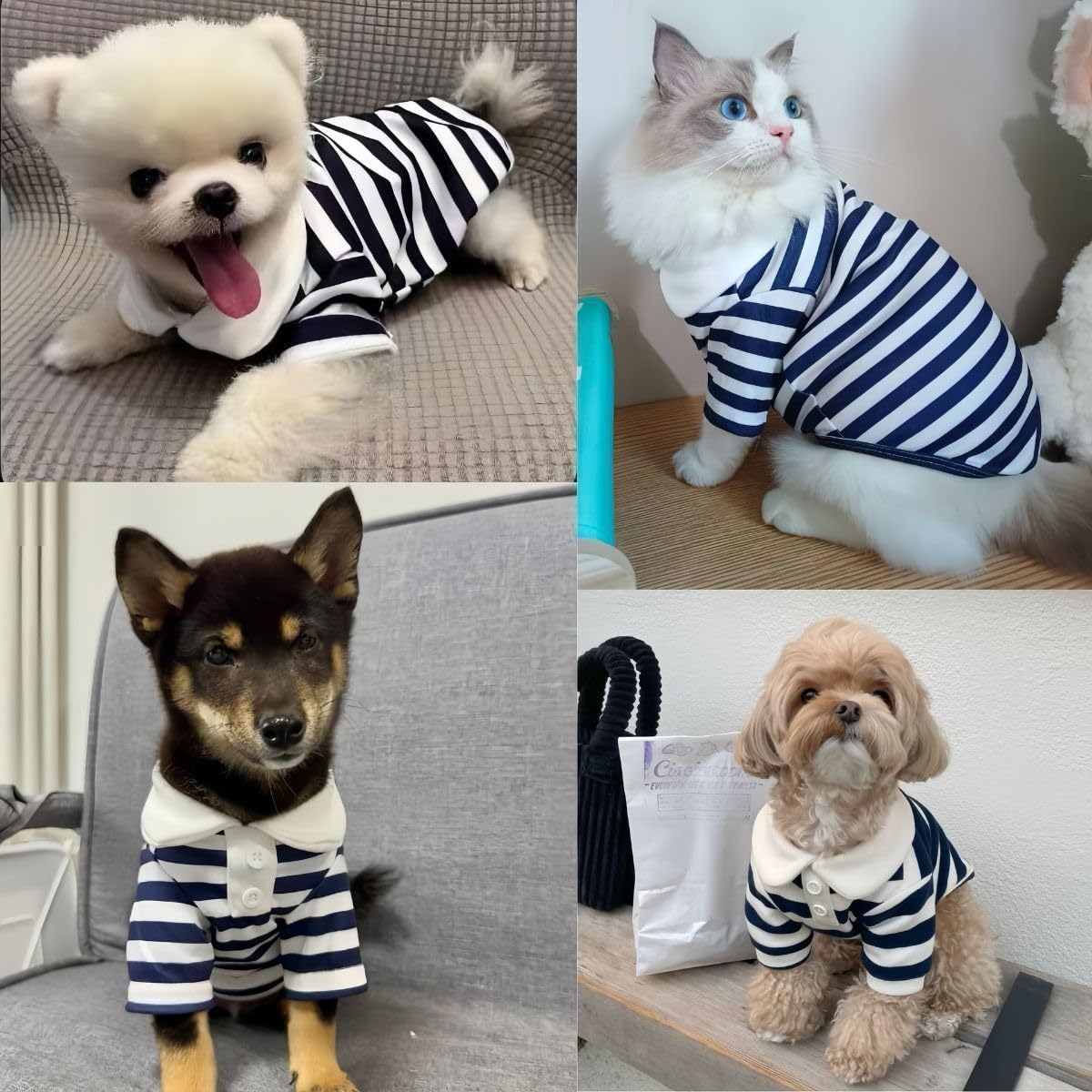 MANON ROSA Boy Dog Polo Shirt for Small Dogs, Dark Blue, S, 3.3-5.5 lb | Cute Puppy Clothes With Classic Stripes, Soft Breath