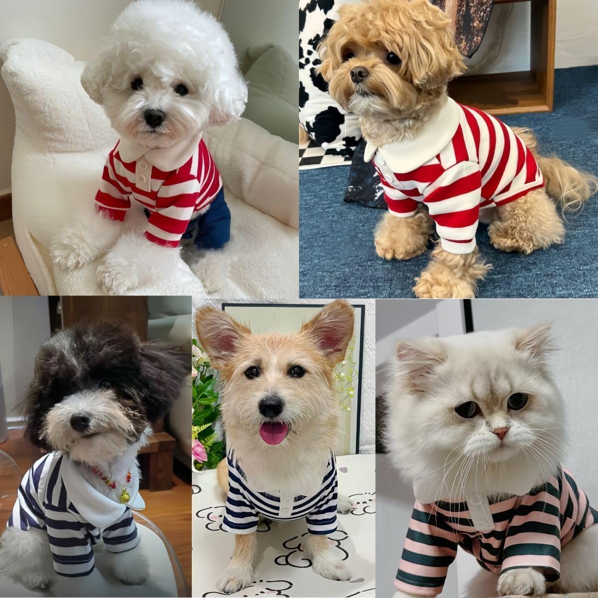 MANON ROSA Boy Dog Polo Shirt for Small Dogs, Dark Blue, S, 3.3-5.5 lb | Cute Puppy Clothes With Classic Stripes, Soft Breath