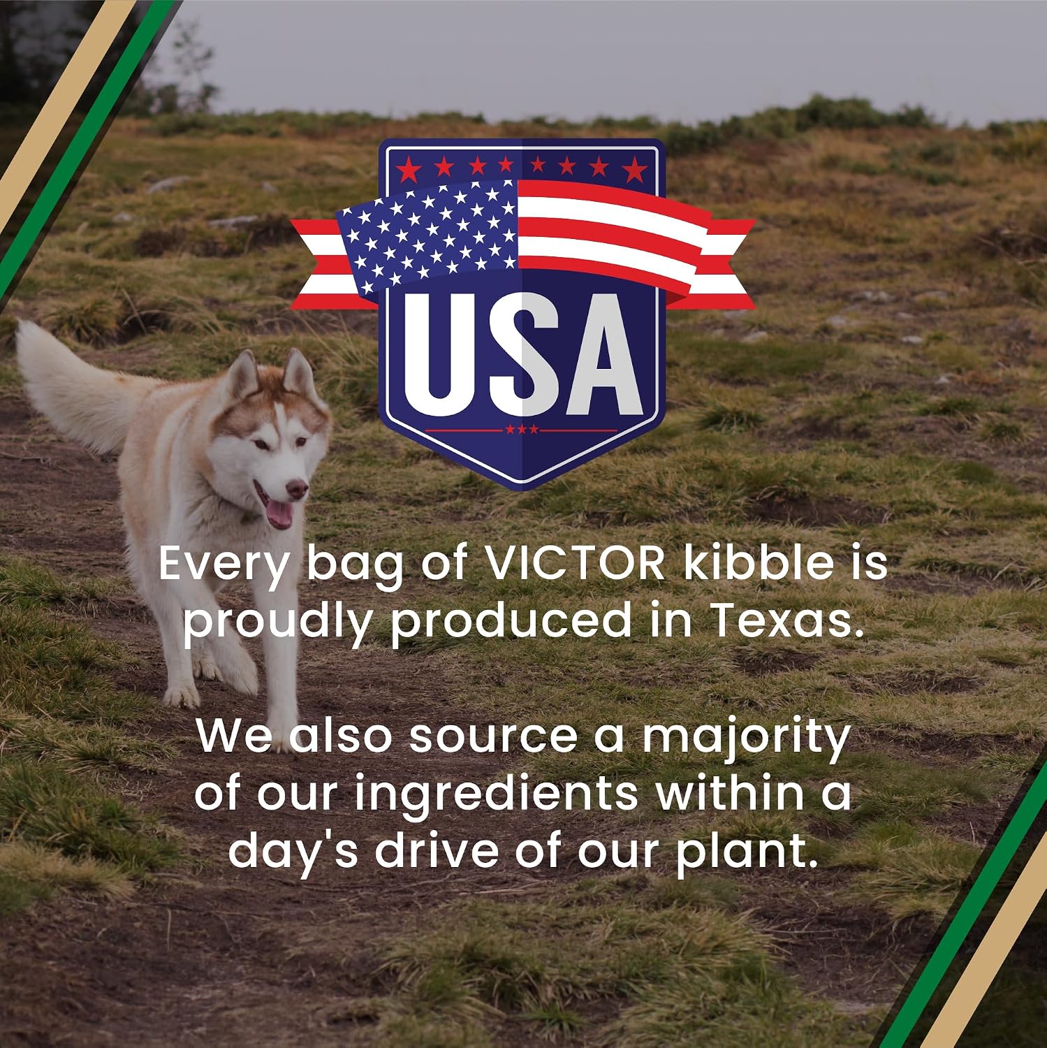 VICTOR Performance Dry Dog Food – Beef, Chicken & Pork Meal, 40 lb | Super Premium Dog Food, 26% Protein, For Active Adult Do