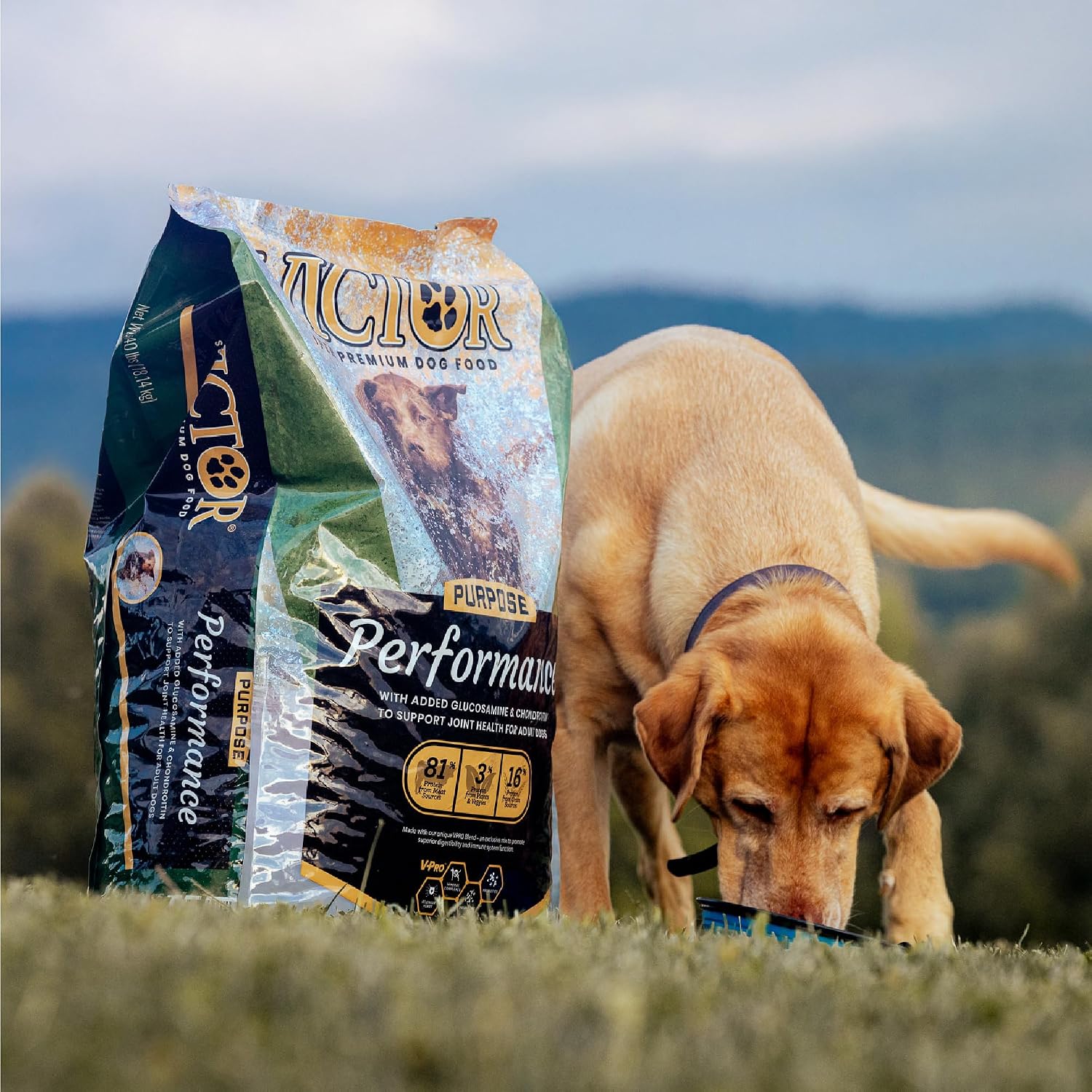 VICTOR Performance Dry Dog Food – Beef, Chicken & Pork Meal, 40 lb | Super Premium Dog Food, 26% Protein, For Active Adult Do
