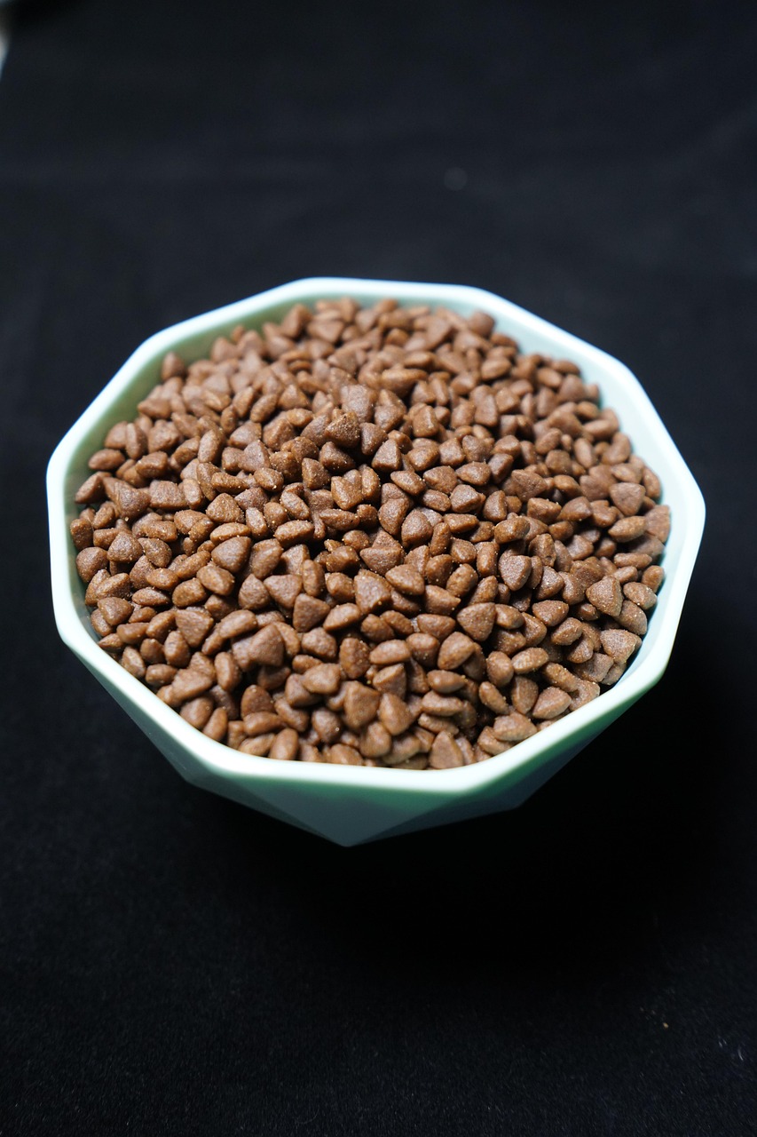Dry dog food in a stainless steel bowl