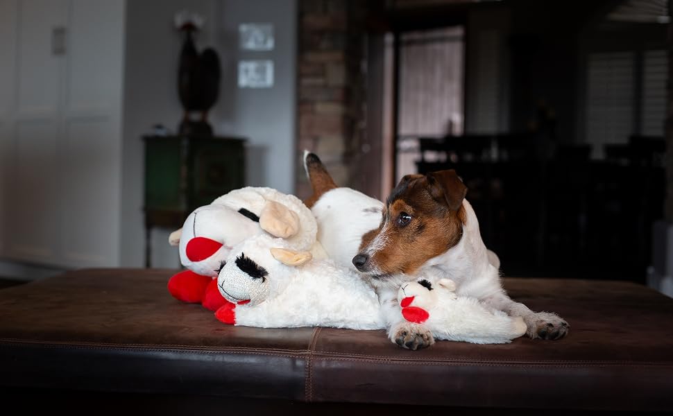 lambchop and jack