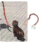 MANON ROSA Playful Sausage Dog Leash – Ergonomic, Durable Leash for Small Medium Dogs Puppies Cat...