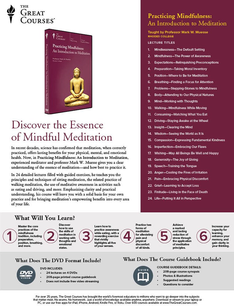 Practicing Mindfulness Meditation - Hình 2