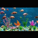 Vibrant Plastic Aquarium Plant Set – Non-Toxic Fish Tank Decor — view 6