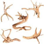 Natural Aquarium Driftwood Assortment – 6-10 Inch Aquatic Decor — view 12