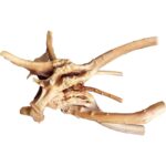 Natural Aquarium Driftwood Assortment – 6-10 Inch Aquatic Decor — view 13