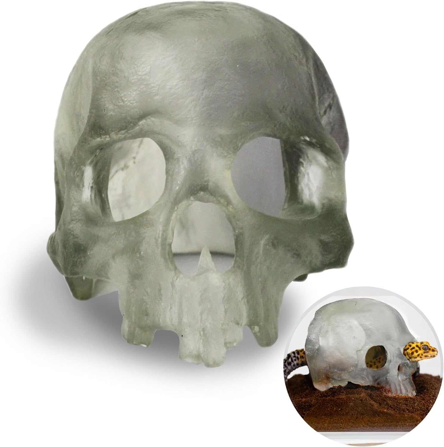 Translucent Skull Aquarium Decor
