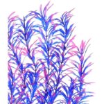 21-Inch Tall Pink — view 5