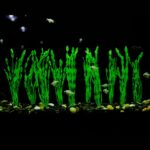 Vibrant Green Plastic Aquarium Plants with Ceramic Base — view 5