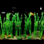 Vibrant Green Plastic Aquarium Plants with Ceramic Base — view 8