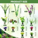 Diverse Artificial Aquarium Plant Set – Non-Toxic Fish Tank Decor — view 3