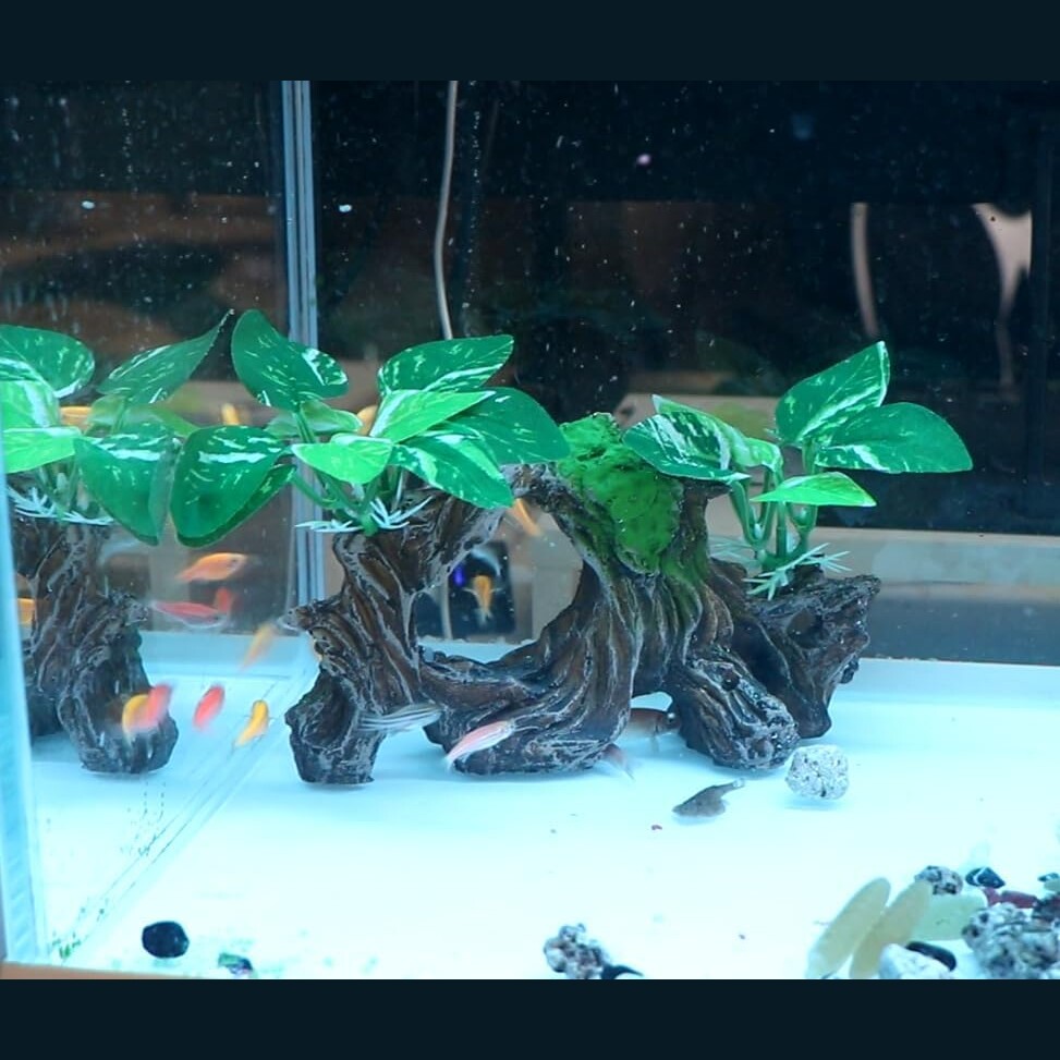 Exotic Tree Trunk Aquarium Decor with Vibrant Green Foliage — view 2